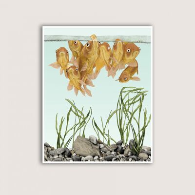 Poisson rouge - Impression d'art - 12x16 (Art-prints 12x16)