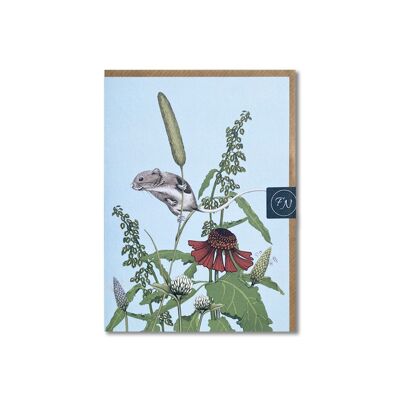Harvest Mouse - Greeting Card