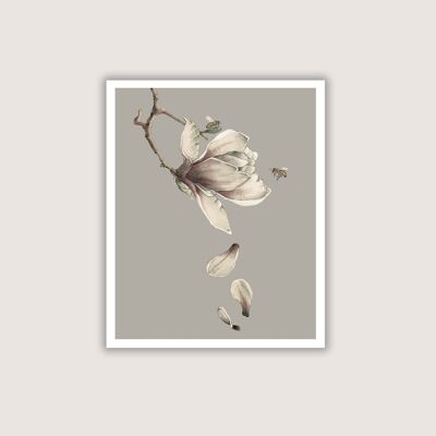Abeja magnolia - Lámina giclée - gris - 12 x 16 (Art-prints 12x16)