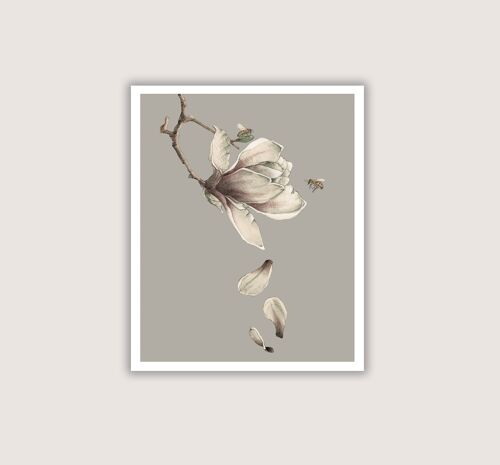 Magnolia Bee - Giclee Art Print - grey - 8 x 10 (Art-prints 8x10)