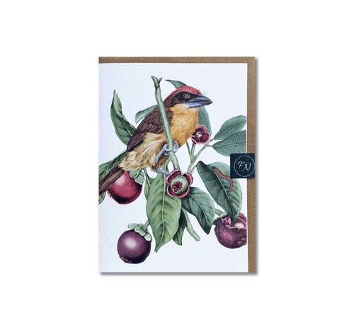 Mangosteen - Greeting Card