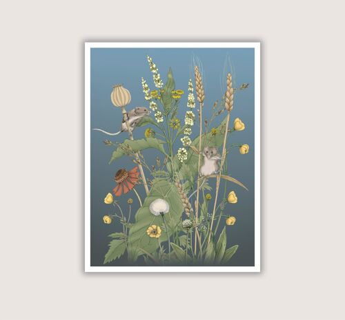 Meadow Mice - Art Print - 12 x 16 (Art-prints 12x16)