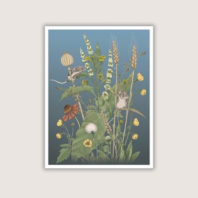 Meadow Mice - Art Print - 12 x 16 (Art-prints 12x16)