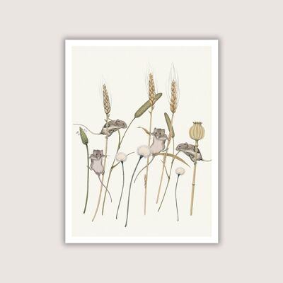 Meadow Trapeze - Art Print - Cream - 12 x 16 (Art-prints 12x16)