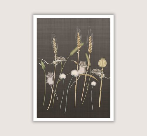 Meadow Trapeze - Giclee Art Print - Mocha - 12 x 16 (Art-prints 12x16)