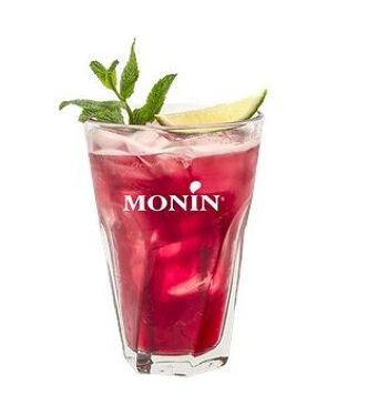 Le Fruit de Framboise MONIN pour cocktails ou thés glacés - Arômes naturels - 1L 3