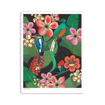 Paradise Frolic Art Print (Art-prints 12x16)