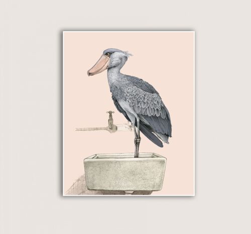 Shoebill - Art print (Art-prints 12x16)