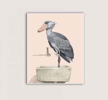 Shoebill - Impression d'art (Art-prints 12x16)