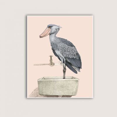 Shoebill - Art print (Art-prints 18x24)