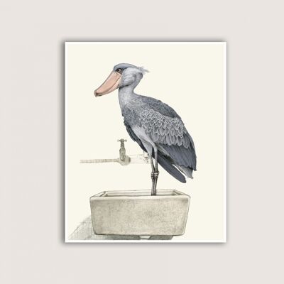 Shoebill phone case - Gloss - Samsung Galaxy Note 20