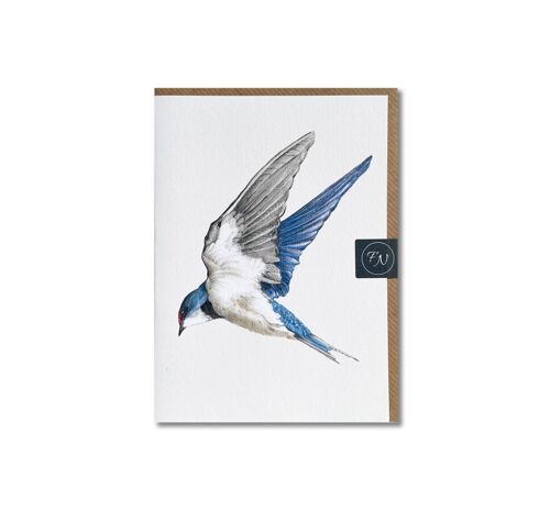 Swallow - Greeting Card