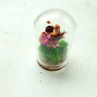 Pico Terrarium Végétal Stabilisé