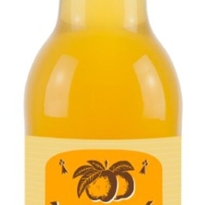 Jus de pomme Kerne 25 cl