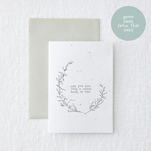 Basil Seed Plantable Live Long Birthday Greeting Card