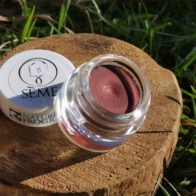 Lippenstift N°5 Pflaume schillernd