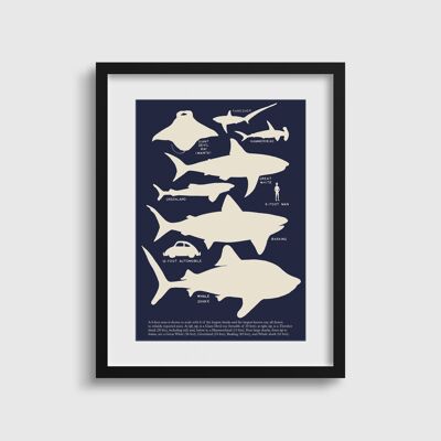 Retro Shark Print | 1960s Shark Chart | 60s Vintage Shark Graphic Silhouette Marine Print | Navy Print for Him | Gift for Teen