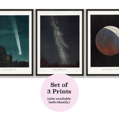 Vintage Astronomy Prints | Trouvelot Astronomy Prints | Gift for Astronomy lover | Bold graphic prints