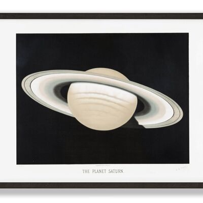 Vintage Saturn Print | Trouvelot Saturn Illustration | Astronomy Saturn Print | A4, A3, 30x40cm