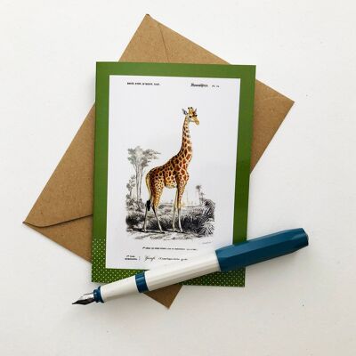 Vintage Giraffe Blank Greeting Card
