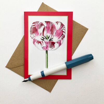 Beautiful Vintage Tulip Blank Greeting Card