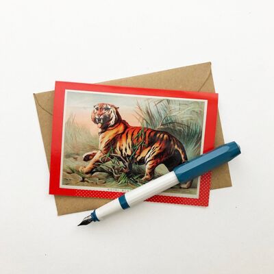 Royal Bengal Tiger Vintage Illustration Blank Greeting Card