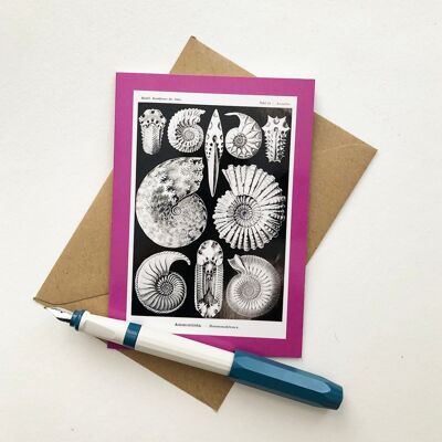 Black & White Vintage Ammonites Greeting Card | Kunstformen Der Natur Natural History Illustration