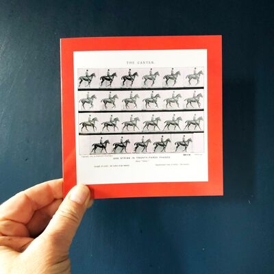 The Horse in Motion Eadweard Muybridge Cards/Mini Prints | Monochrome Art | For Horse and Pony Lover | Vintage Horse Print | Horse Cards