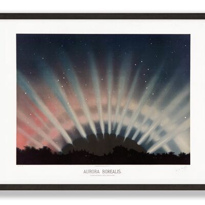 Aurora Borealis Vintage Print | Trouvelot Astronomy Print | Vintage Astronomy Gift