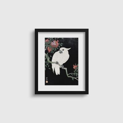 Ohara Koson Cockatoo with Pomegranate Vintage Contemporary Print, A4 or A3