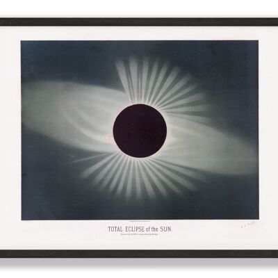 Vintage Sun Print | Astronomy Eclipse of the Sun | Trouvelot Sun Illustration | Astronomy Gift | A4, A3, 30 x 40cm