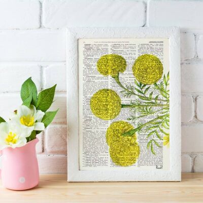 African Marigold Flower Botanical Art - Book Page L 8.1x12 (No Hanger)