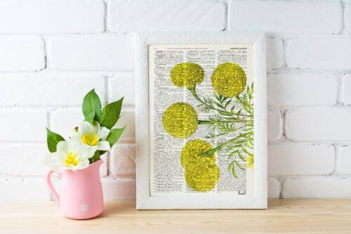African Marigold Flower Botanical Art - Book Page M 6.4x9.6 (No Hanger)