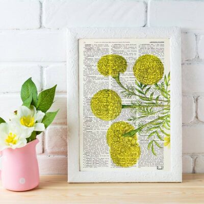 African Marigold Flower Botanical Art - A4 White 8.2x11.6