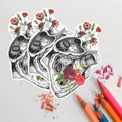 Set de Stickers coeurs Anatomie et Roses