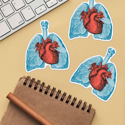 Autocollants anatomie poumons et coeur
