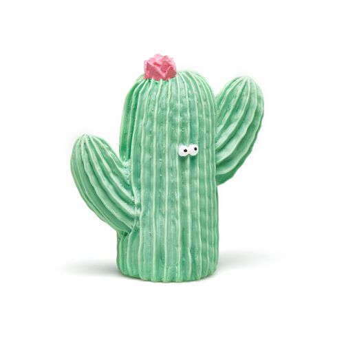Cactus frijolito lanco
