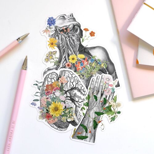 Arty Anatomical stickers