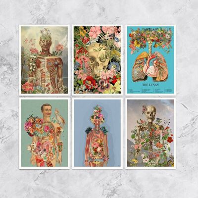 Kunstvolles menschliches anatomisches Postkarten-Set