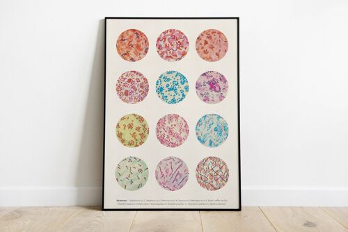 Bacteria Collection. - A3 White 11.7x16.5 (No Hanger)