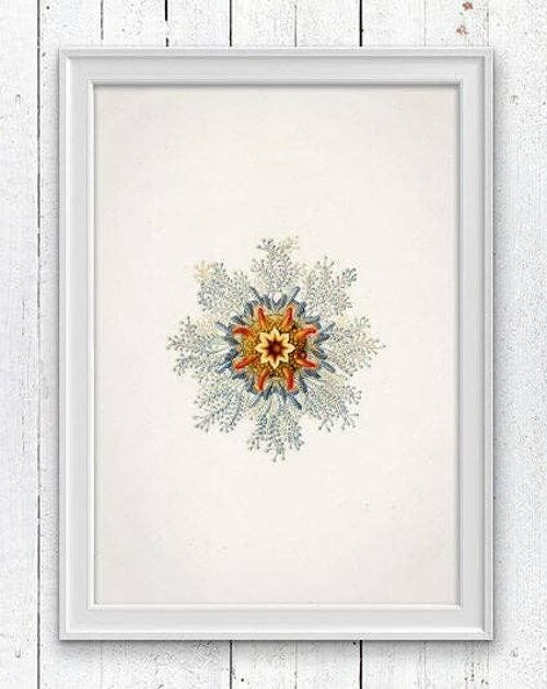 Beautiful Jellyfish n.07 - A5 White 5.8x8.2 (No Hanger)