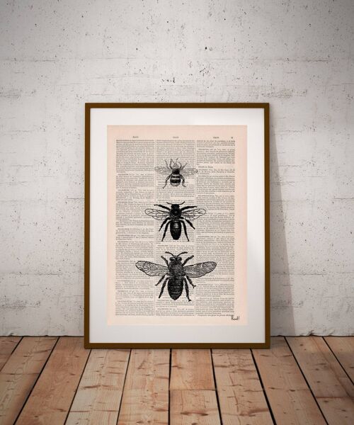 Bee Art Print - Book Page L 8.1x12 (No Hanger)