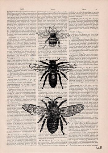 Bee Art Print - Livre Page L 8.1x12 (No Hanger) 4