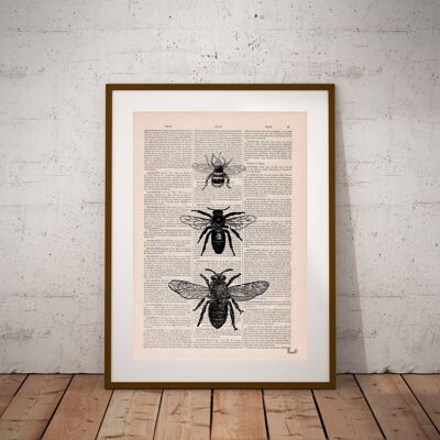 Bee Art Print - Pagina del libro M 6,4 x 9,6 (senza gancio)