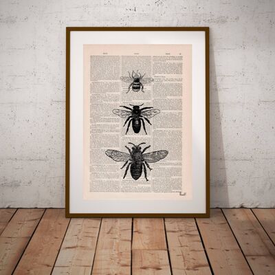 Bee Art Print - Book Page M 6.4x9.6 (No Hanger)