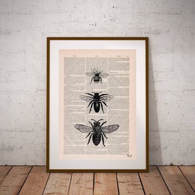 Bee Art Print - Music L 8.2x11.6 (No Hanger)