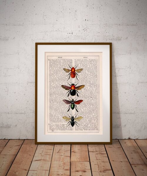 Bees and Bumblebees Art Print - Book Page L 8.1x12 (No Hanger)