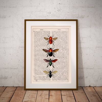 Bees and Bumblebees Art Print - Book Page L 8.1x12 (No Hanger)