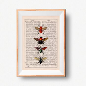 Abeilles et Bourdons Art Print - Livre Page L 8.1x12 (No Hanger) 4