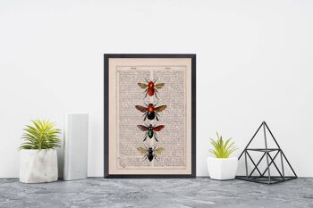 Abeilles et bourdons Art Print - A4 blanc 8.2x11.6 (sans cintre) 2